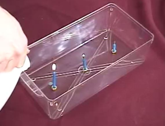 3TAMIS